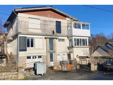 vente appartement 4 pièces 242 m² à montaignac-sur-doustre (19300)  191 600 €