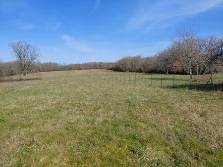 terrain plat le born 2879 m2 a vendre