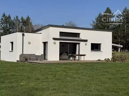 vente maison piscine à plessé (44630) : à vendre piscine / 104m² plessé