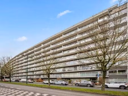 appartement à vendre à molenbeek-saint-jean € 225.000 (llicn) - aef immo | zimmo