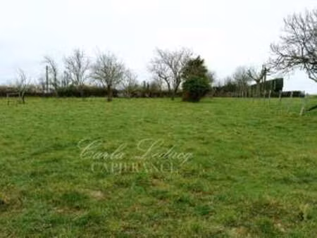 vente terrain à saint-martin-de-saint-maixent (79400) : à vendre / 1623m² saint-martin-de-