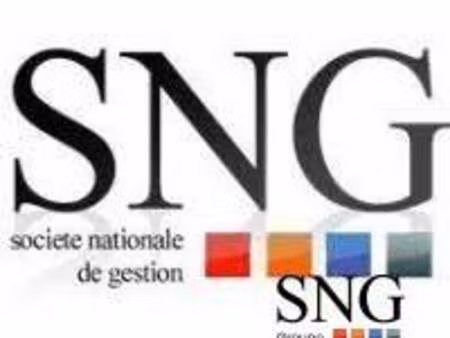 s.n.g immobilier