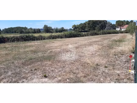 terrain nouilhan608 m2