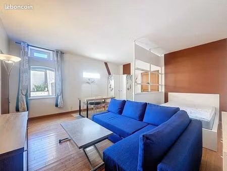 grand f1 de 45m2 avec garage  terrasse et jardin