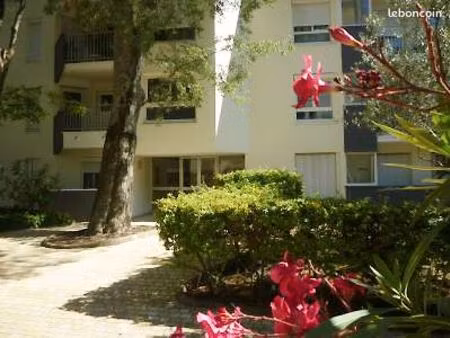 appartement t3 climatisé avec piscine & parking montpellier hôpitaux-facultés