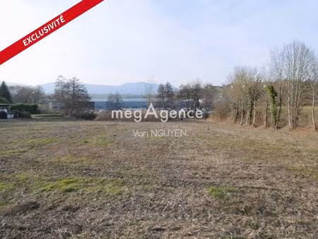 van nguyen consultant megagence