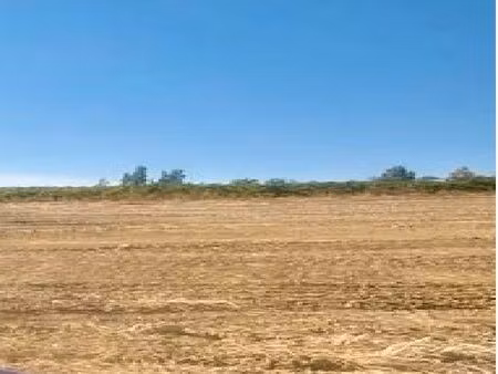 terrain 1 100 m² routier