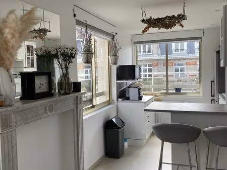 penthouse appartement t2 parking + terrasse meublé