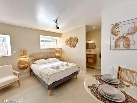 t1 standing 23 m2 centre ville gare