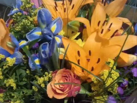 recherche location 38