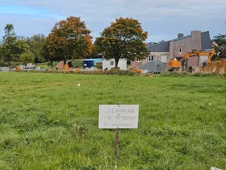 terrain constructible