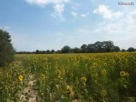 rechercher terrain agricole