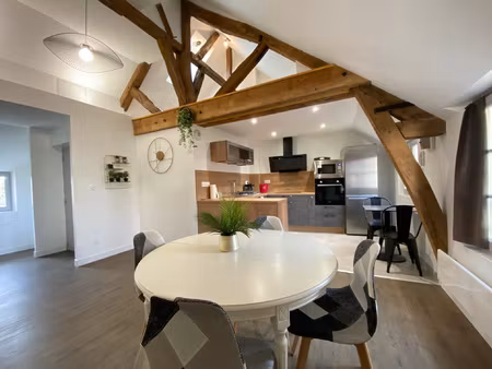 superbe appartement meuble vue sur loire