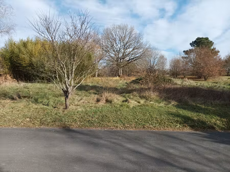 terrain plat à bâtir