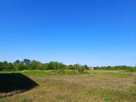 en vente terrain constructible 232 ares – 70 000 € |saint-martin-de-ribérac