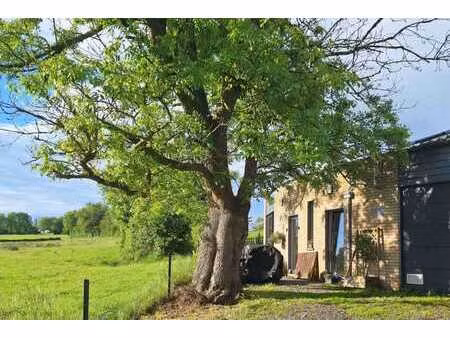 app 1 ch  vaste séjour  bur  buand  cuis équ  terrasse  park