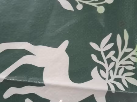 recherche location maison