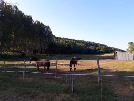 terrain à louer (prairie)