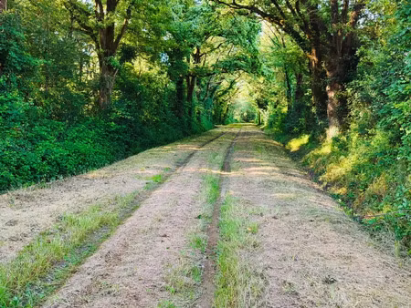 vente bois  forêt et étang à vallons-de-l'erdre (44540) : à vendre / vallons-de-l'erdre