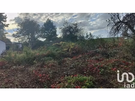 vente terrain 4 950 m²