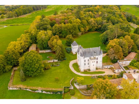 chateau à vendre à vouzan (16410) - charente
