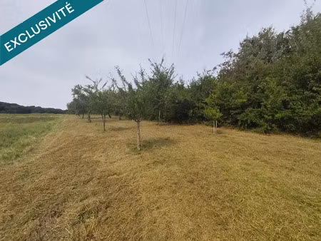 vente terrain 3620 m² à neuviller-sur-moselle (54290)  12 000 €