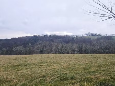vente terrain 4300 m² à trélissac (24750)  80 000 €