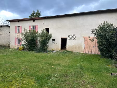 vente maison 140 m² chanas (38150)