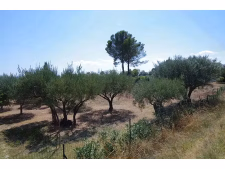 vente terrain 1200 m² à lorgues (83510)  190 000 €