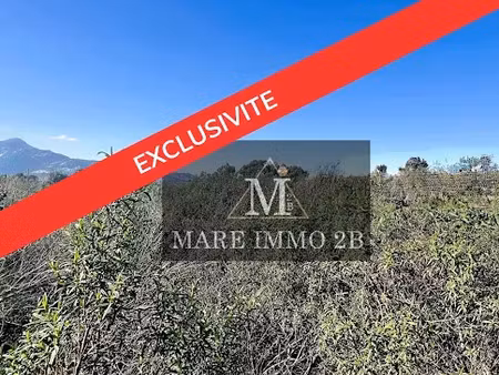 vente terrain à batir 1055 m² à calenzana (20214)  234 000 €