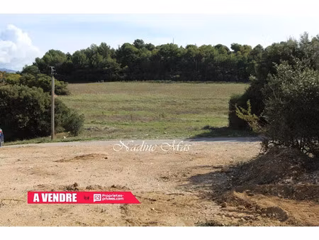 vente terrain 1650 m² à plan-d'aups-sainte-baume (83640)  170 000 €