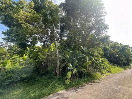 vente terrain 928 m² à saint joseph (97480)  180 000 €