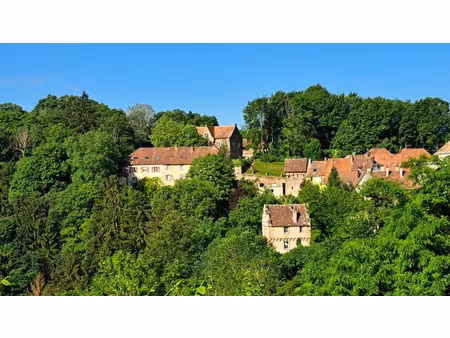 vente immeuble 290 m² à la petite-pierre (67290)  169 000 €