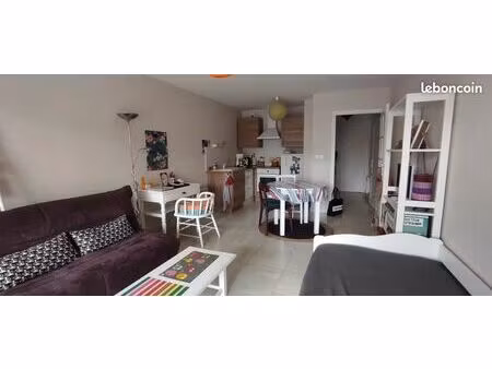 studio 1 pièce 33 m²