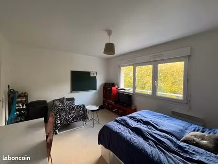 appartement / 1 pièce / 21m2 / secteur beaulieu