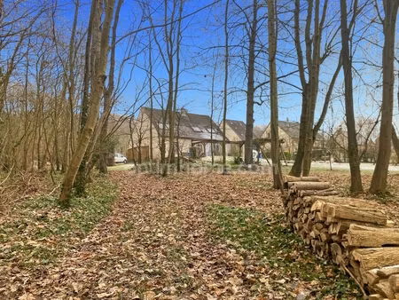 maison jardin et parc verdoyant crouy (02)