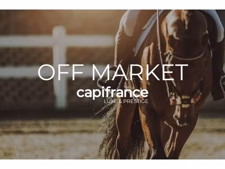 propriete à vendre 16 pièces notre dame d'estrees (14)