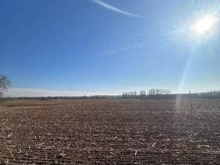 terrain constructible viabilisé à vendre