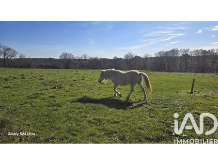 vente maison 7 pièces 236 m² isle-et-bardais (03360)