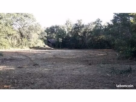 terrain viabilisé avec cu