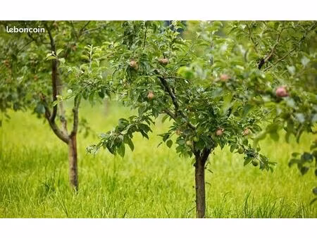 recherche terrain agricole