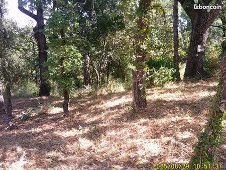 terrain 1 200 m² les mayons