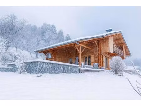 achat : maison (74920)