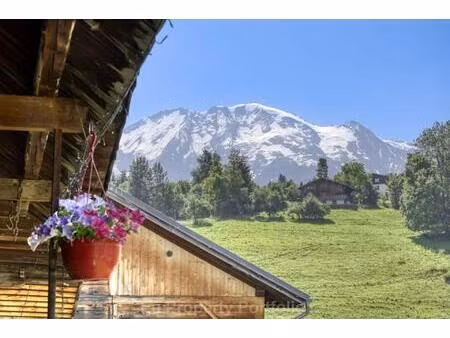 achat : maison (74170)