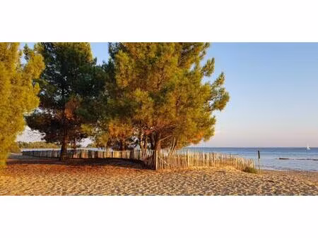 premiere ligne bassin