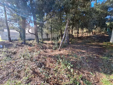 vente terrain  794.00m²  la tranche