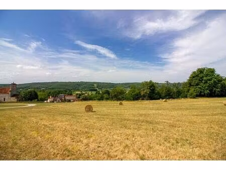 terrain castels et bezenac 8615 m2