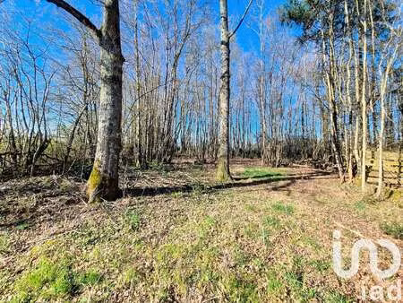 vente terrain à saint-firmin-des-bois (45220) : à vendre / 3380m² saint-firmin-des-bois