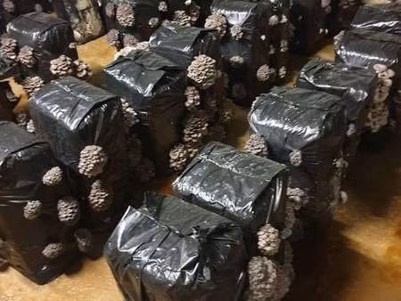 vente bureaux et commerces à tours (37000) : à vendre / 160000m² tours