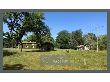 maison en pierre 206m2 sur airial d'1hectare4 - dépendances - l